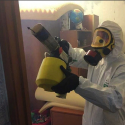 Уничтожение клопов в квартире. Обь